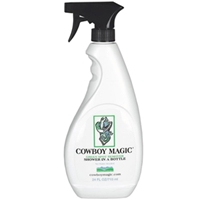 Green Spot Remover Dry Shampoo, 24 oz