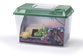 Hermit Crab Hideaway Kit