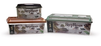 Herp Haven Breeder Box Small