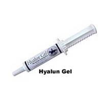 Hyalun for Horses, 30 ml Syringe
