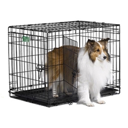 iCrate Double Door Dog Crate, 30" x 19" x 21"