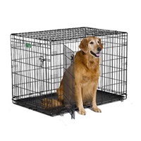 iCrate Double Door Dog Crate, 42" x 28" x 30"