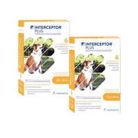 Interceptor Plus for Dogs 25.1-50 lbs Yellow, 12 Pack 