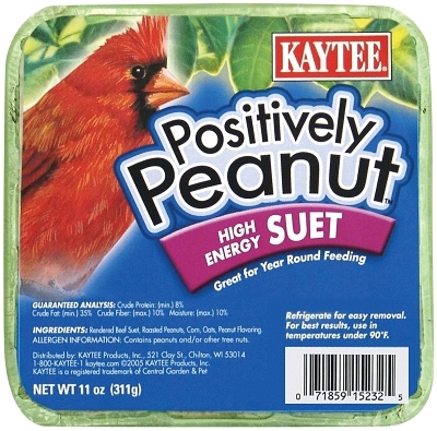 Kaytee Positively Peanut Suet, 11 oz