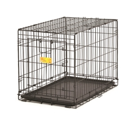 Life Stage A.C.E.  Crate 18X12X14