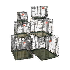 Life Stage Dog Crate, 30" x 21" x 24"