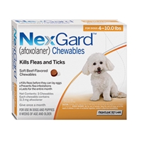 Nexgard for Dogs 4 - 10.0 lbs, 3 Month Supply