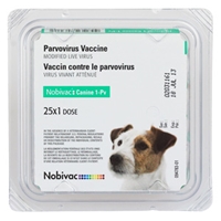 Nobivac PV Canine Parvo - 25 ds Tray