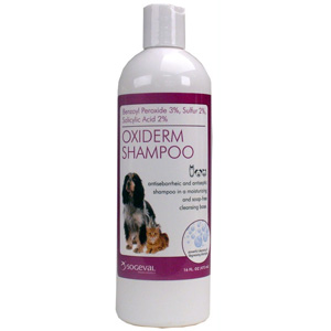 Oxiderm +PS Shampoo, 1 gal