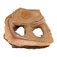 Rainbow Carved Stone, Small - 12 Pack