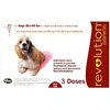 Revolution for Dogs 21-40 lbs, 3 Pack (Red)