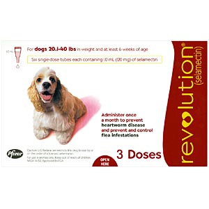 Revolution for Dogs 21-40 lbs, 3 Pack (Red)