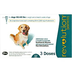 Revolution for Dogs 40-85 lbs, 3 Pack (Teal)