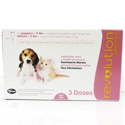 Revolution for Puppies and Kittens under 5 lbs, Pink, 12 Pack