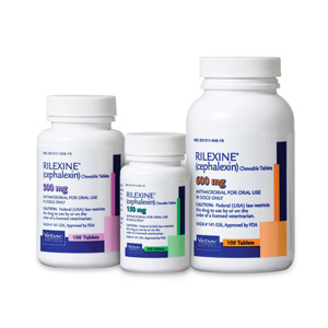 Rilexine (Cephalexin) 150 mg, Single Chewable Tablet