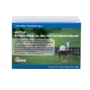 SETTLE Equine box of 6