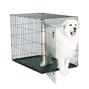 Starter Series Dog Crate, 54" x 37" x 45"