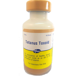 Tetanus Toxoid - 10 ds Vial