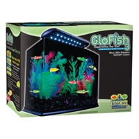 Tetra GloFish Aquarium Kit, 3 gal