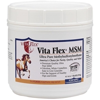 Vita-Flex MSM, 1 lb