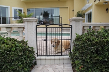 Weather Proof Expandable Gate Extra Tall